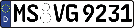 MS-VG9231