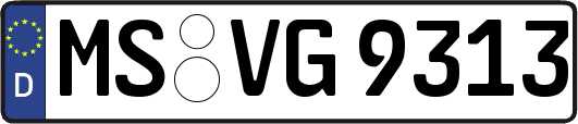 MS-VG9313