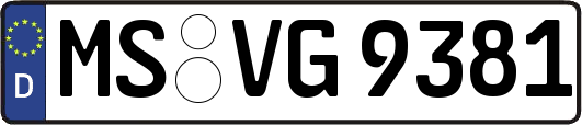 MS-VG9381