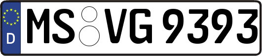 MS-VG9393