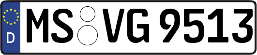 MS-VG9513