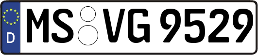 MS-VG9529