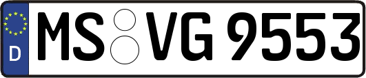 MS-VG9553
