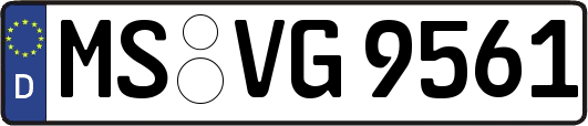 MS-VG9561