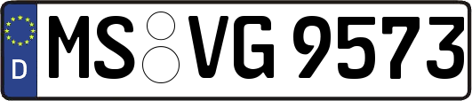 MS-VG9573