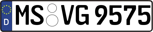MS-VG9575