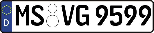 MS-VG9599