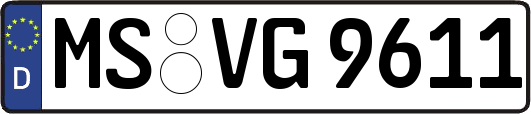 MS-VG9611