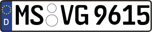 MS-VG9615