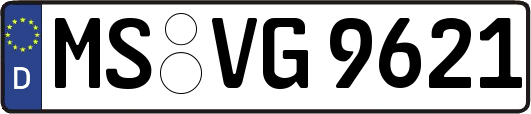 MS-VG9621
