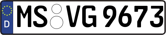 MS-VG9673