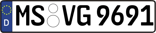 MS-VG9691