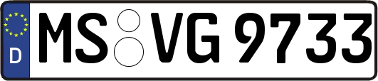 MS-VG9733