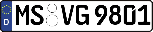 MS-VG9801
