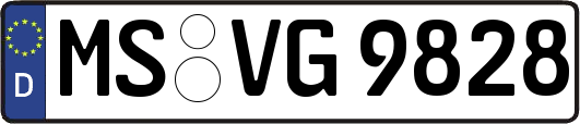 MS-VG9828