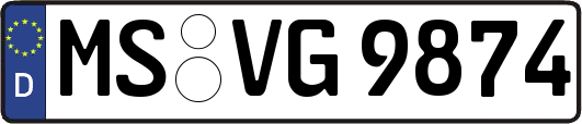 MS-VG9874