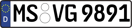 MS-VG9891