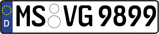 MS-VG9899