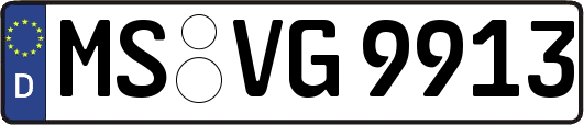 MS-VG9913