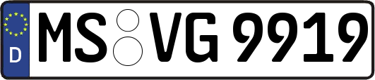 MS-VG9919