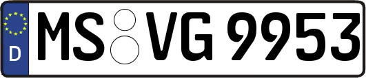 MS-VG9953