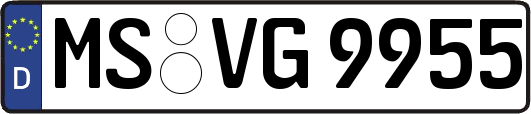 MS-VG9955