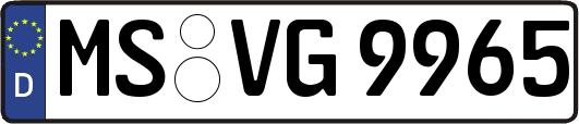 MS-VG9965