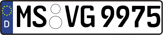 MS-VG9975