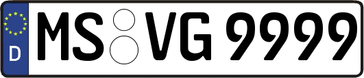 MS-VG9999