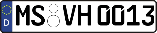 MS-VH0013