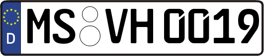 MS-VH0019