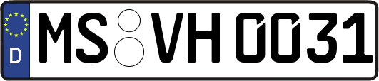 MS-VH0031