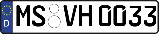 MS-VH0033