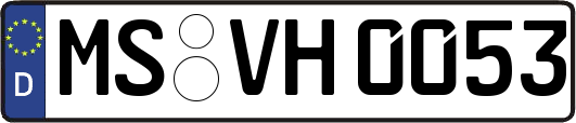 MS-VH0053