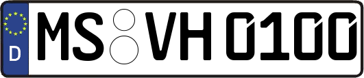 MS-VH0100