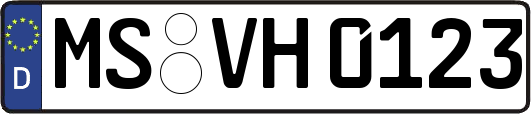 MS-VH0123
