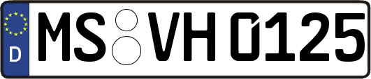 MS-VH0125