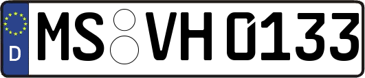 MS-VH0133