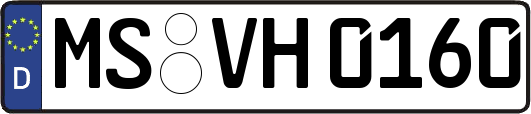 MS-VH0160
