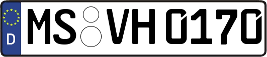 MS-VH0170