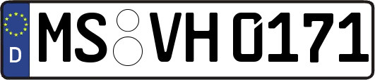 MS-VH0171
