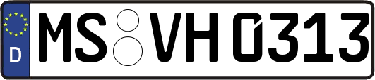 MS-VH0313