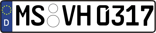 MS-VH0317