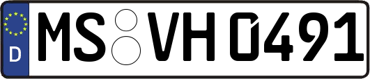 MS-VH0491