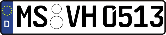 MS-VH0513