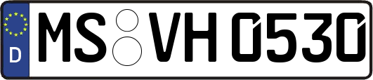 MS-VH0530