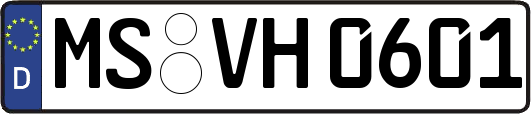 MS-VH0601