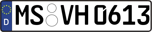 MS-VH0613