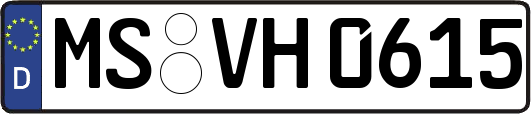 MS-VH0615