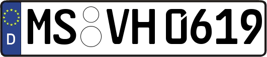 MS-VH0619